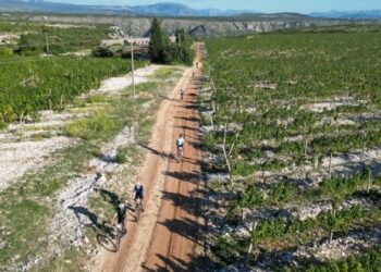 Biciklistička tura kroz broćanske vinograde ponovno privukla veliki broj sudionika