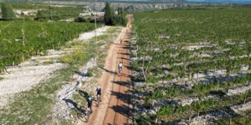 Biciklistička tura kroz broćanske vinograde ponovno privukla veliki broj sudionika