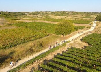 Biciklistička tura „Biciklom kroz vinograde i podrume Brotnja“