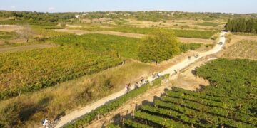 Biciklistička tura „Biciklom kroz vinograde i podrume Brotnja“