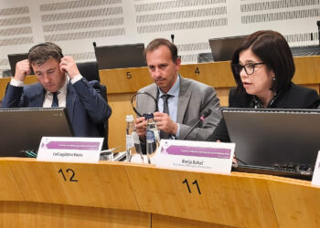 Marija Buhač u Bruxellesu: Europski put BiH nema alternativu