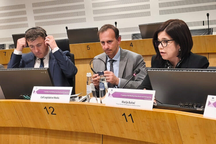 Marija Buhač u Bruxellesu: Europski put BiH nema alternativu