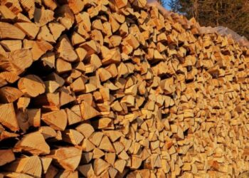 Poskupila drva: Evo kolike su cijene!