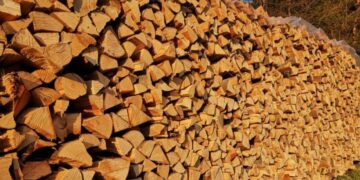 Poskupila drva: Evo kolike su cijene!