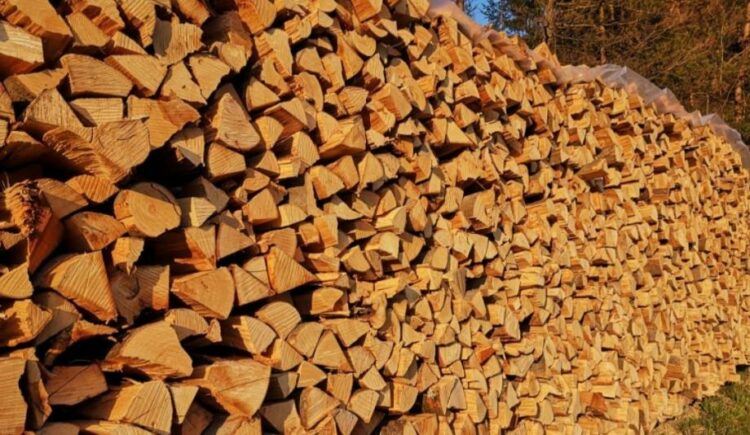 Poskupila drva: Evo kolike su cijene!