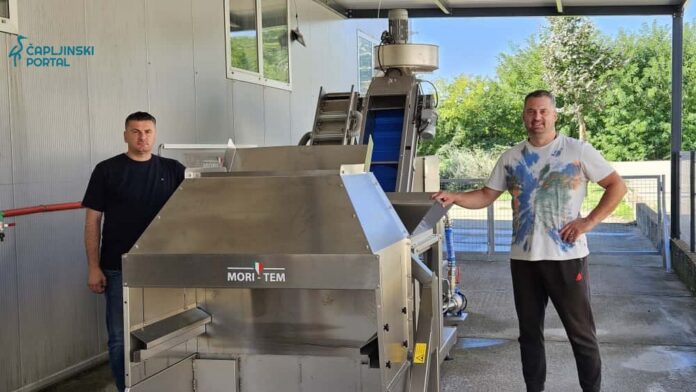 Otvorena nova uljara u Čapljini: Kapacitet prerade do 1000 kilograma maslina na sat