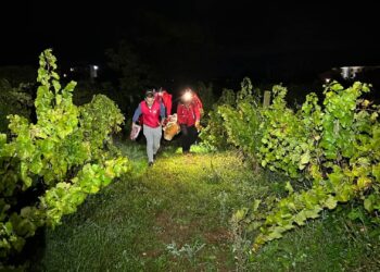 HGSS Čitluk-Međugorje pronašao nestalu osobu