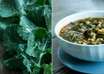 Raštikijada 2025 – Najveći Kulinarski Događaj u Hercegovini