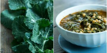 Raštikijada 2025 – Najveći Kulinarski Događaj u Hercegovini