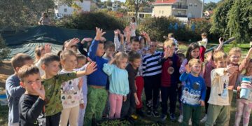 Branje maslina u Dječjem vrtiću u Čitluku: Najmlađi uče o važnosti očuvanja prirode i bogatstvu koje nam maslina donosi