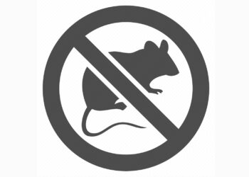 Iz Zavoda za javno zdravstvo HNŽ-a najavili provedbu jesenske deratizacije