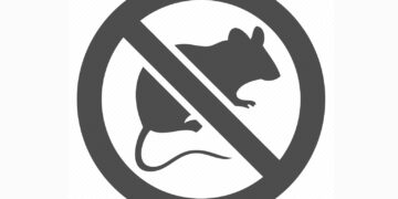 Iz Zavoda za javno zdravstvo HNŽ-a najavili provedbu jesenske deratizacije