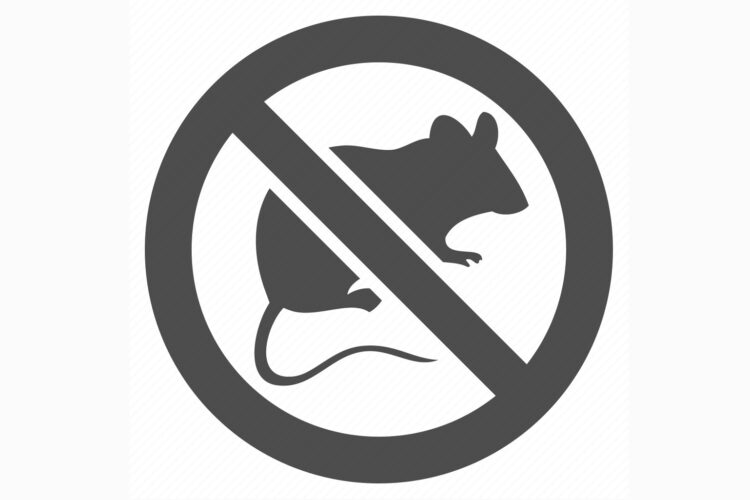 Iz Zavoda za javno zdravstvo HNŽ-a najavili provedbu jesenske deratizacije