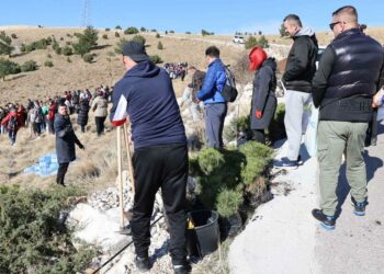 Na brdu Fortica kod Mostara kreće najveća volonterska akcija pošumljavanja