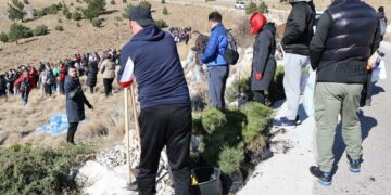 Na brdu Fortica kod Mostara kreće najveća volonterska akcija pošumljavanja