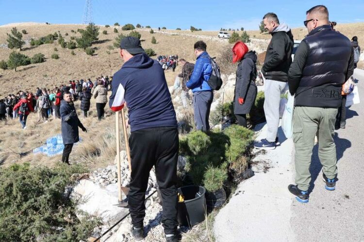 Na brdu Fortica kod Mostara kreće najveća volonterska akcija pošumljavanja