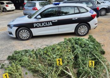 MUP HNŽ: U Čitluku zaplijenjeno oko 50 kilograma biljne mase koja podsjeća na marihuanu