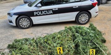 MUP HNŽ: U Čitluku zaplijenjeno oko 50 kilograma biljne mase koja podsjeća na marihuanu