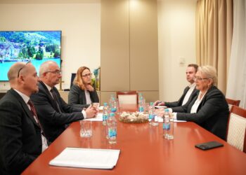 Bradara i Sztáray: Reforme i projekti su najbrži put BiH prema EU