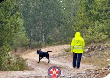 GSSuBiH: Održano relicenciranje potražnih timova – Danijel Prga i pas Uma uspješno obnovili licence