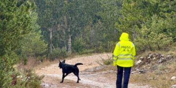 GSSuBiH: Održano relicenciranje potražnih timova – Danijel Prga i pas Uma uspješno obnovili licence