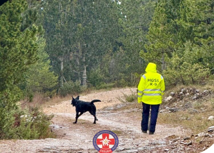 GSSuBiH: Održano relicenciranje potražnih timova – Danijel Prga i pas Uma uspješno obnovili licence