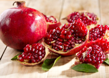 Najava: Znanstveno-stručna radionica na temu “Šipak”