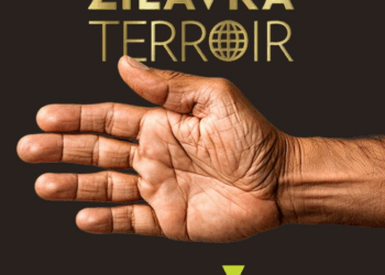 Žilavka terroir: Vino, glazba i čarolija okusa 4. prosinca u Herceg Etno selu Međugorje