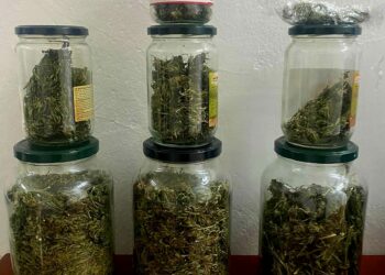 MUP HNŽ: Pronađena veća količina biljne materije koja asocira na opojnu drogu marihuanu