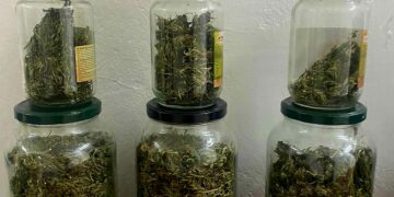 MUP HNŽ: Pronađena veća količina biljne materije koja asocira na opojnu drogu marihuanu