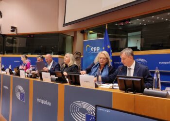 Glas Hrvata dopire do Europske unije: Konstitutivnost presudna za opstanak BiH