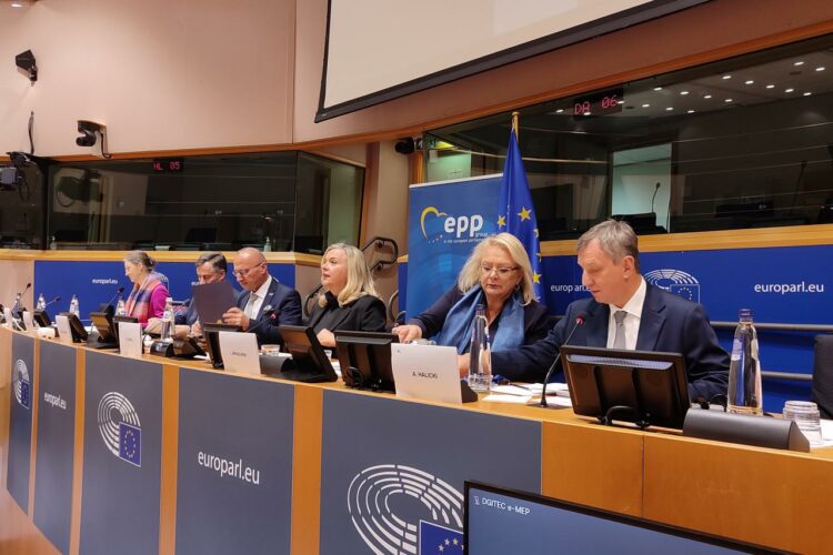 Glas Hrvata dopire do Europske unije: Konstitutivnost presudna za opstanak BiH