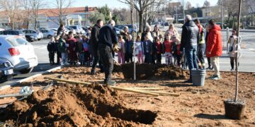 Ispred Doma zdravlja Čitluk zasađene sadnice japanske trešnje