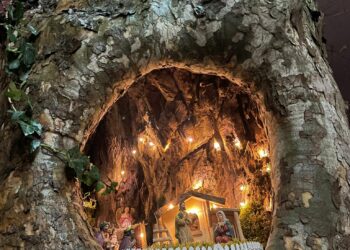 FSR i Frama postavili jaslice u drvetu u srcu Mostara