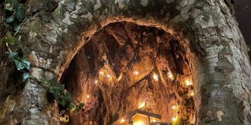 FSR i Frama postavili jaslice u drvetu u srcu Mostara