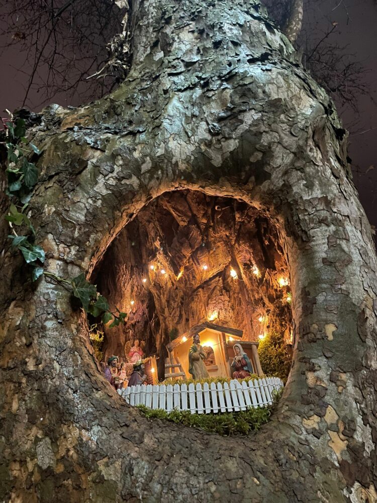 FSR i Frama postavili jaslice u drvetu u srcu Mostara