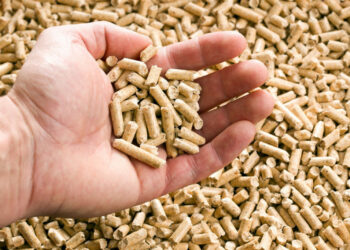 (VIDEO) Zašto je došlo do nestašice peleta?