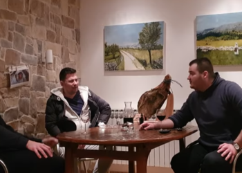 (VIDEO) Čuvari baštine: Tri kuma koji korijene vuku iz BiH njeguju pjesme krajeva iz kojih su potekli