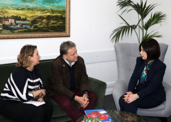 Digitalizacija javne uprave u HNŽ-u: Predstavnik UNDP-a u BiH posjetio predsjednicu Buhač