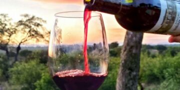 Najava: Organoleptička ocjena potencijala mladih otvorenih vina