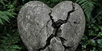 Tjedan solidarnosti i zajedništva s Crkvom i ljudima u Bosni i Hercegovini