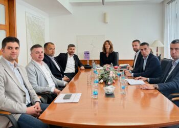 Predstavnici Udruge gospodarstvenika Brotnjo na radnom sastanku s ministricom Andrijanom Katić