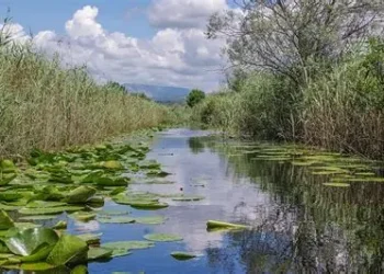 Mostar se voli – recikliraj u školi: Edukativno-zabavni ekološki događaj u Hutovu blatu