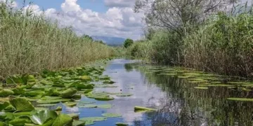 Mostar se voli – recikliraj u školi: Edukativno-zabavni ekološki događaj u Hutovu blatu