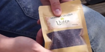VIDEO Mladi inovatori iz Čitluka vinogradski otpad pretvaraju u  pelet – osvojili prvu nagradu na natjecanju u New Yorku