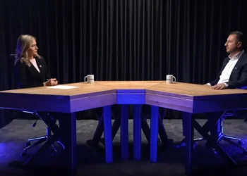 Efendić: HDZ pravi treći entitet na terenu, ne treba im crtanje karata