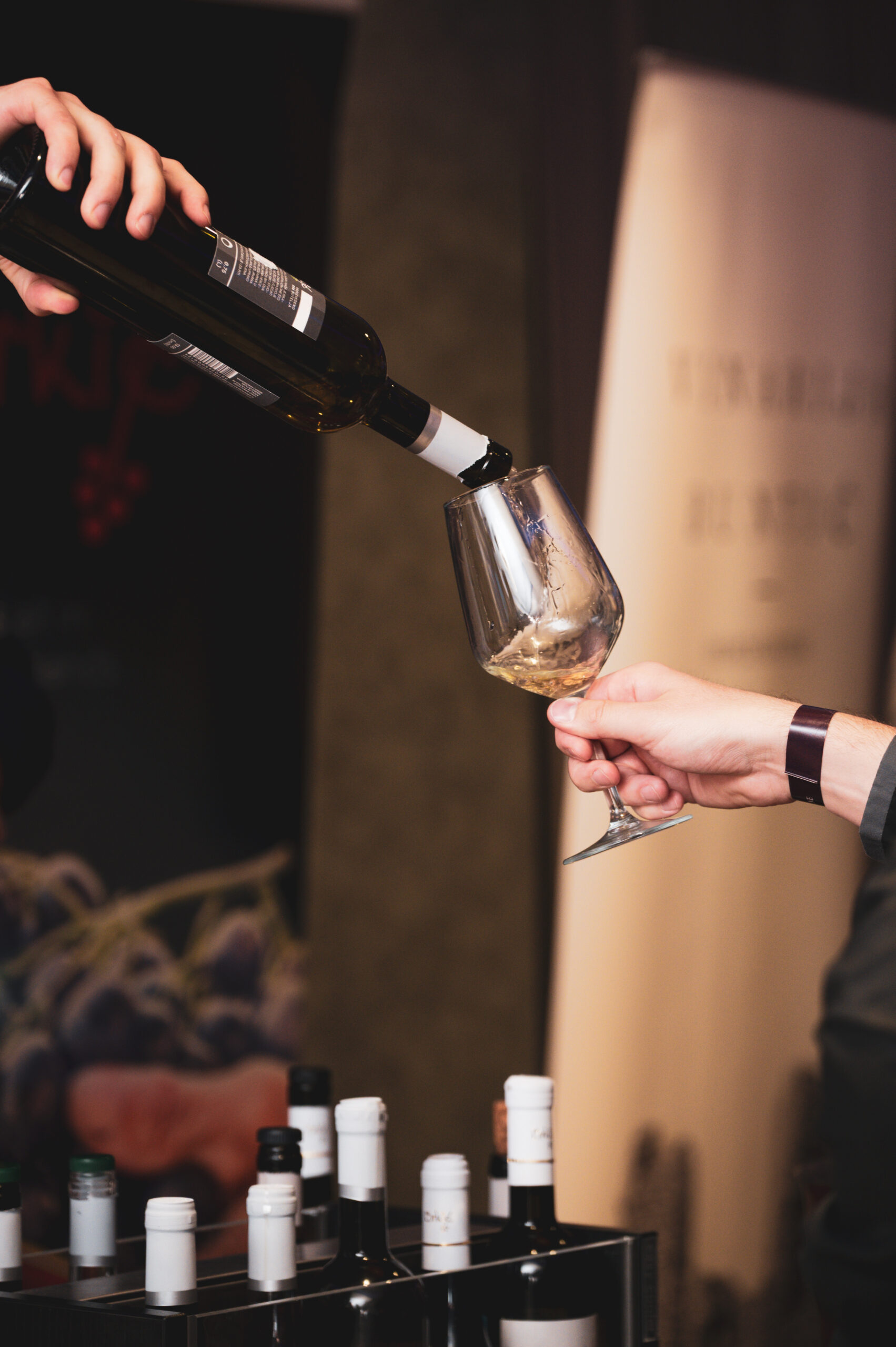 HERZEGOWINE FEST 2026 potvrdio status jednog od najvažnijih vinskih događaja regije