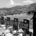 PRIOPĆENJE KOORDINACIJE UDRUGA HVO-a u BiH: Pronađite ubojice iz Armije BiH koji su Anici Jurić ubili trojicu sinova i supruga