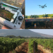 Vinarija Čitluk uvela najsuvremeniju tehnologiju: DJI AGRAS T100, prvi dron ove vrste u BiH, omogućit će bržu i precizniju zaštitu nasada