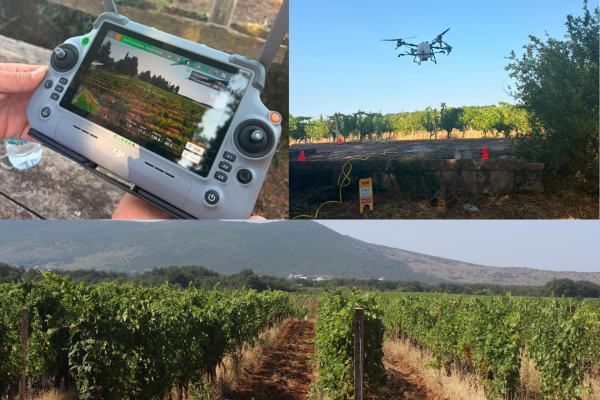 Vinarija Čitluk uvela najsuvremeniju tehnologiju: DJI AGRAS T100, prvi dron ove vrste u BiH, omogućit će bržu i precizniju zaštitu nasada